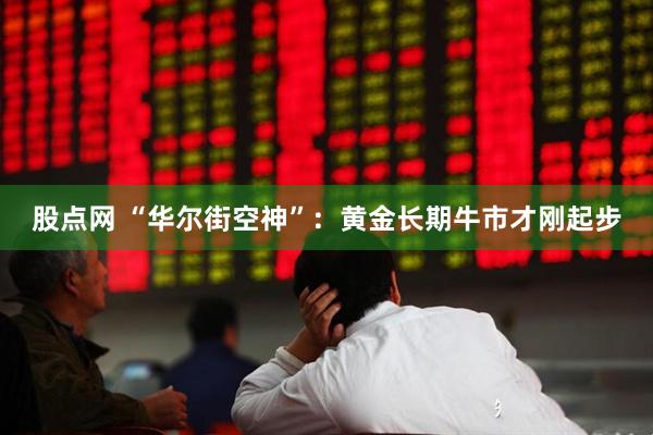 股点网 “华尔街空神”：黄金长期牛市才刚起步